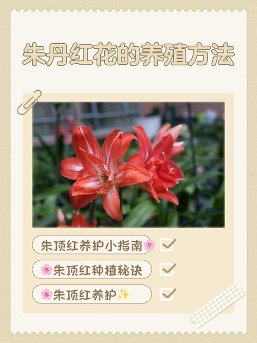 五、浇定根水