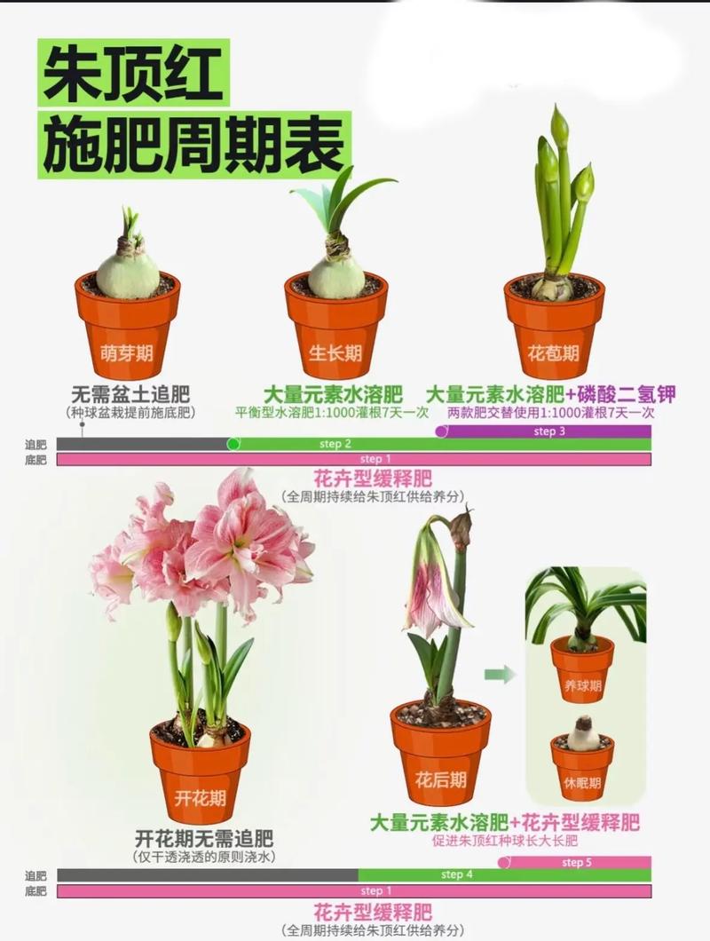 三、栽前处理