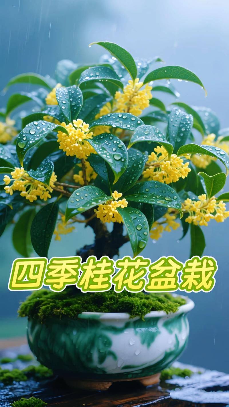 檀香与桂花:两种经典香气的深度对比与园艺鉴赏 香气在园艺与生活中的应用
