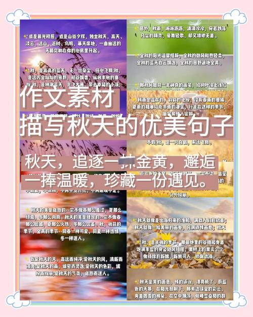 五、园艺养护：让桂花树年年香满秋