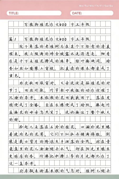 结语