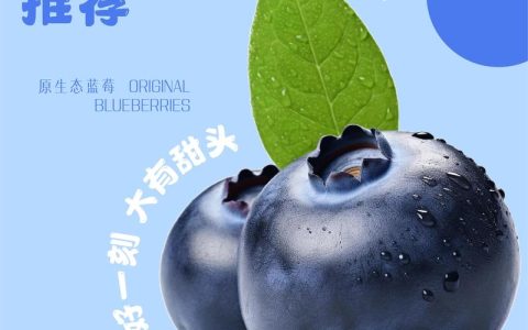 蓝莓品种区分全攻略：从树形、果实到需冷量，一篇看懂你买的到底是哪种蓝莓