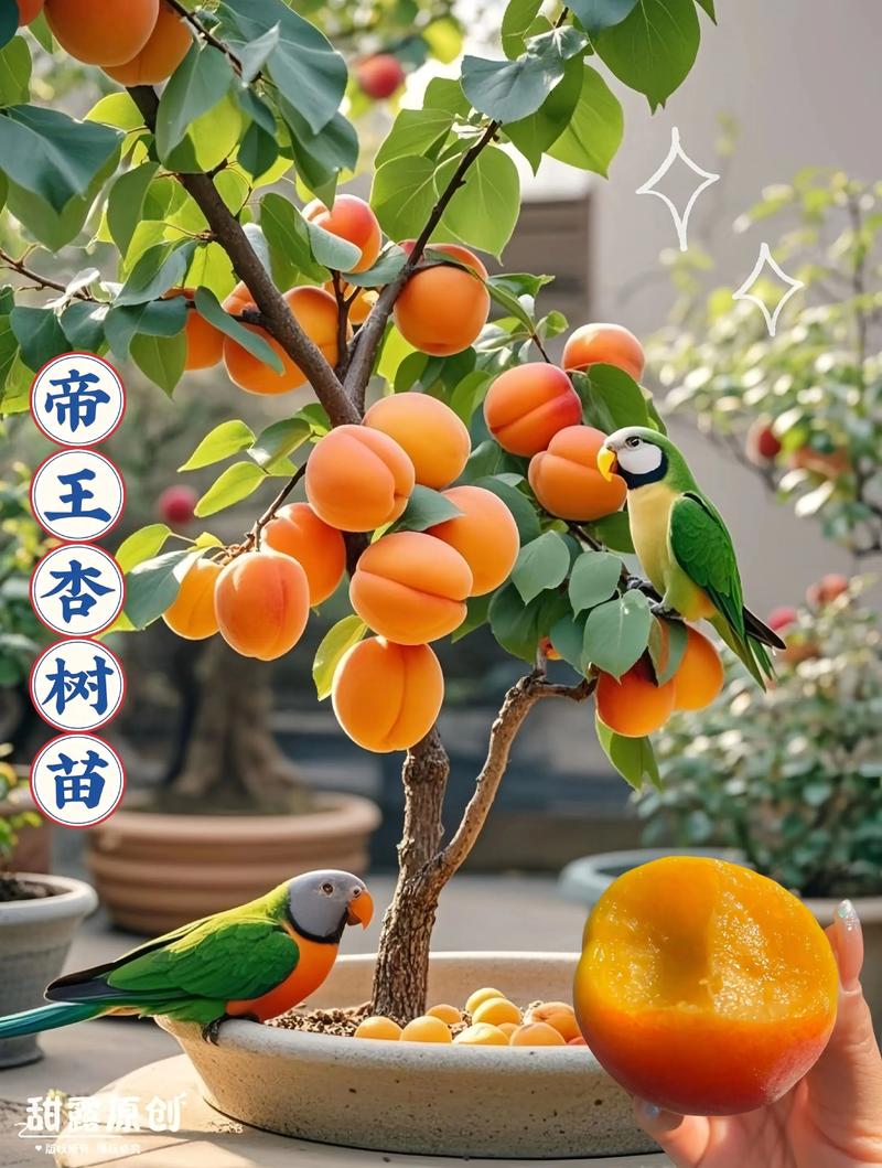 杏树一颗多少钱?2026年杏树苗价格区间与选购指南 常见问题(FAQ)