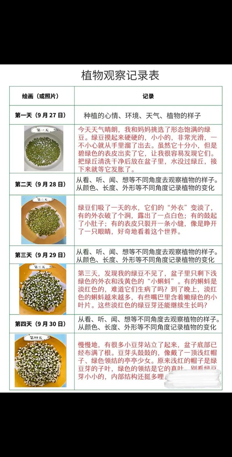 芽苗菜家庭培育全攻略:从选种到采收的参数级操作指南 三、催芽阶段的环境控制