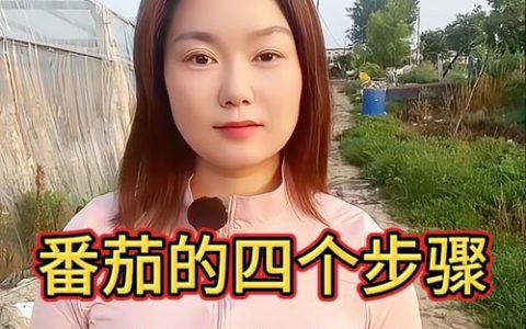 西红柿怎么种植才能高产？全流程种植技术指南
