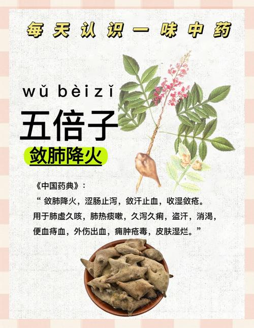 五味子的功效与作用及安全食用指南