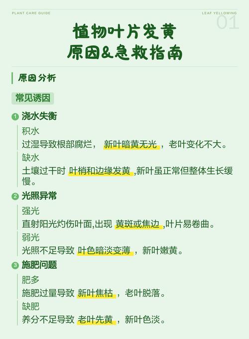 花草叶子发黄怎么办?全面诊断与处理指南 处理办法