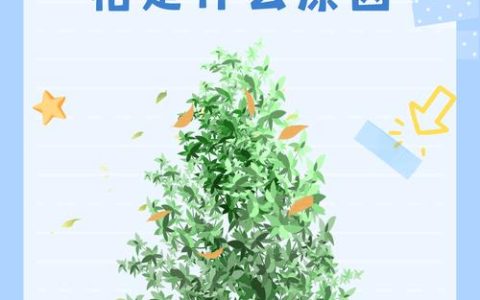黄杨树冬天落叶吗？真相与养护指南全解析