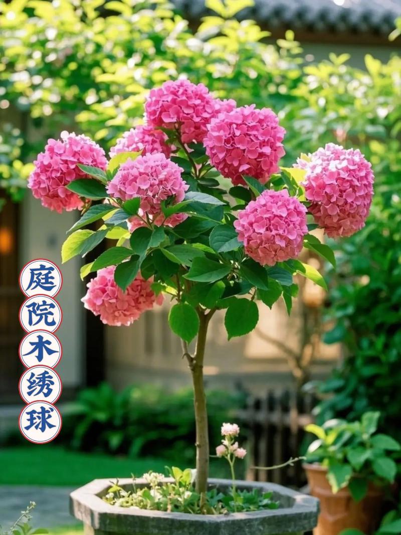 总结：3个核心可执行动作