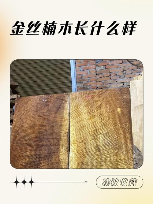 金丝楠木是否有香味?揭开“王者之香”的真相与辨识要点 香味会消失吗?如何保养?