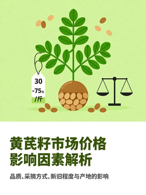黄芪种子多少钱一斤?2019年价格与影响因素全解析 FAQ:关于黄芪种子价格的常见问题