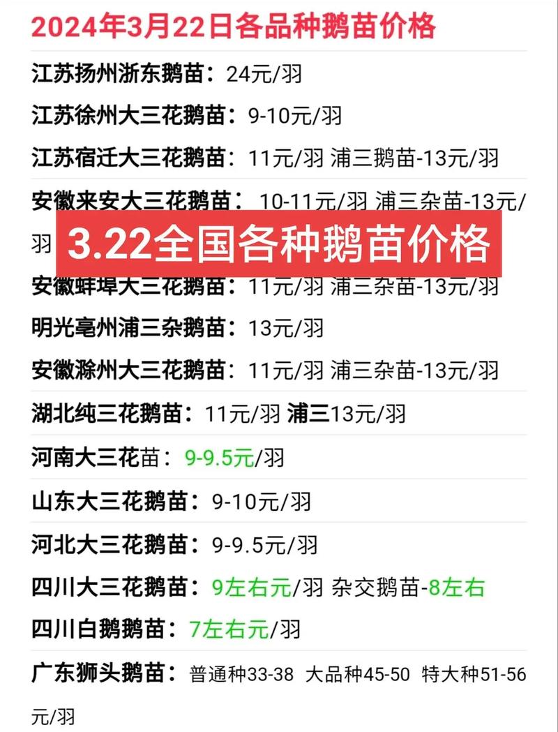 现在马岗鹅苗什么价格?2024年最新参考区间及影响因素详解 运输因素:物流成本占终端价10%-20%