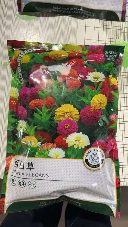 百日草种子哪里有卖?采购渠道分析与科学选择指南 第三步:种子质量与包装规格解读