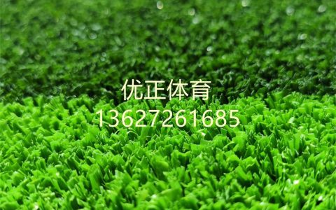 人造草坪一平多少钱？2026年最新价格参考及影响因素全解析