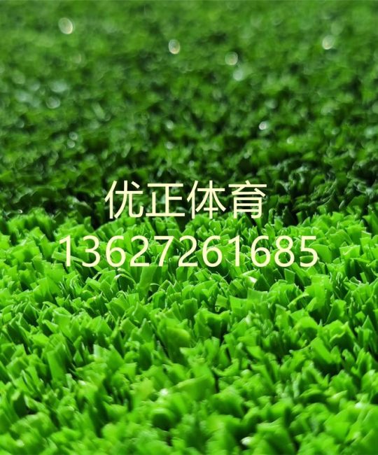 人造草坪一平多少钱？2026年最新价格参考及影响因素全解析