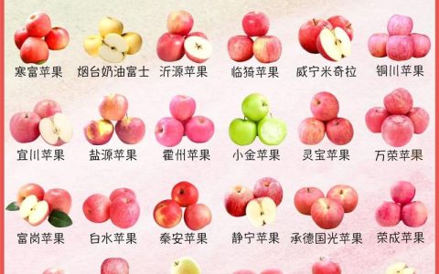 苹果品种全解析：主流品种对比与家庭种植指南
