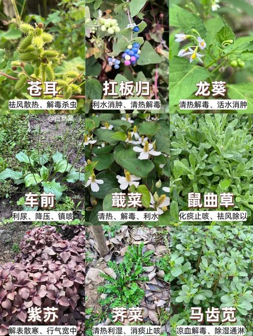 结语