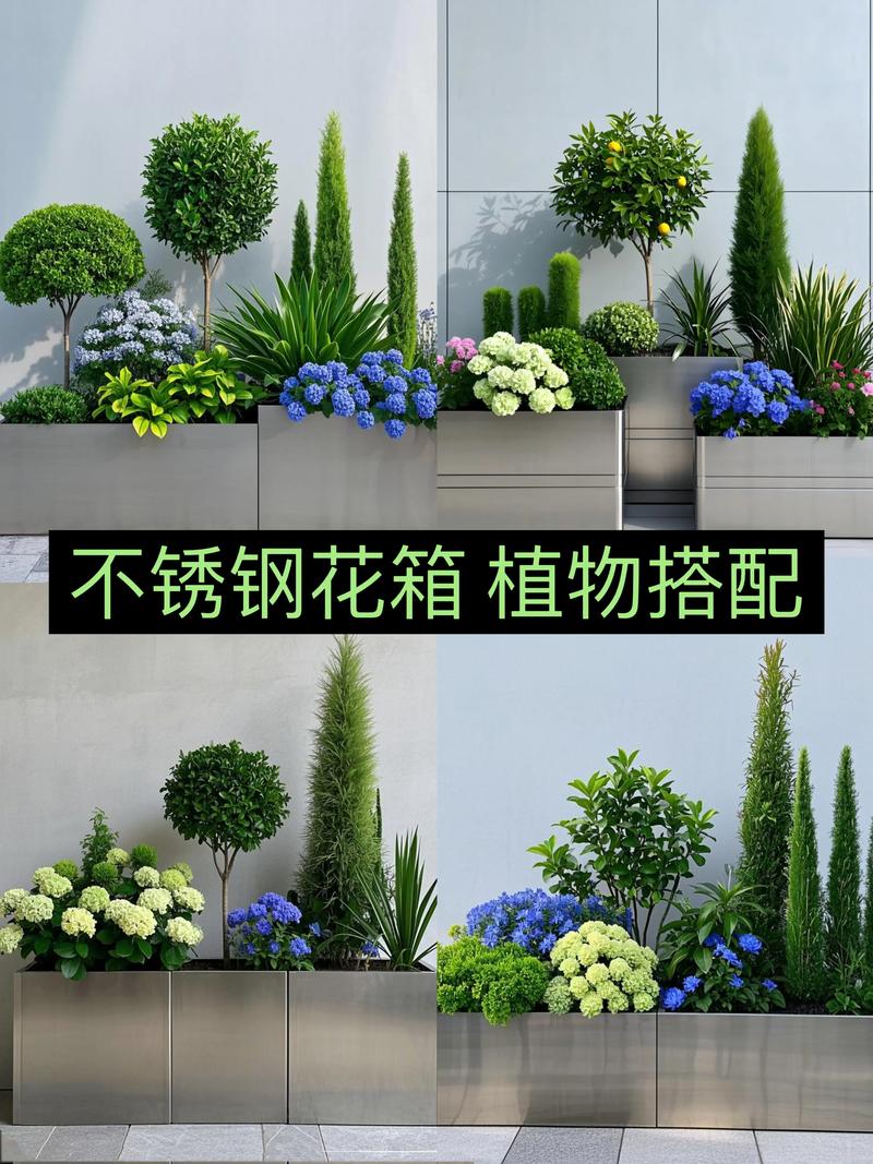 花箱内适合栽什么花?从选种到搭配的实用指南 二、按光照条件挑选核心花卉
