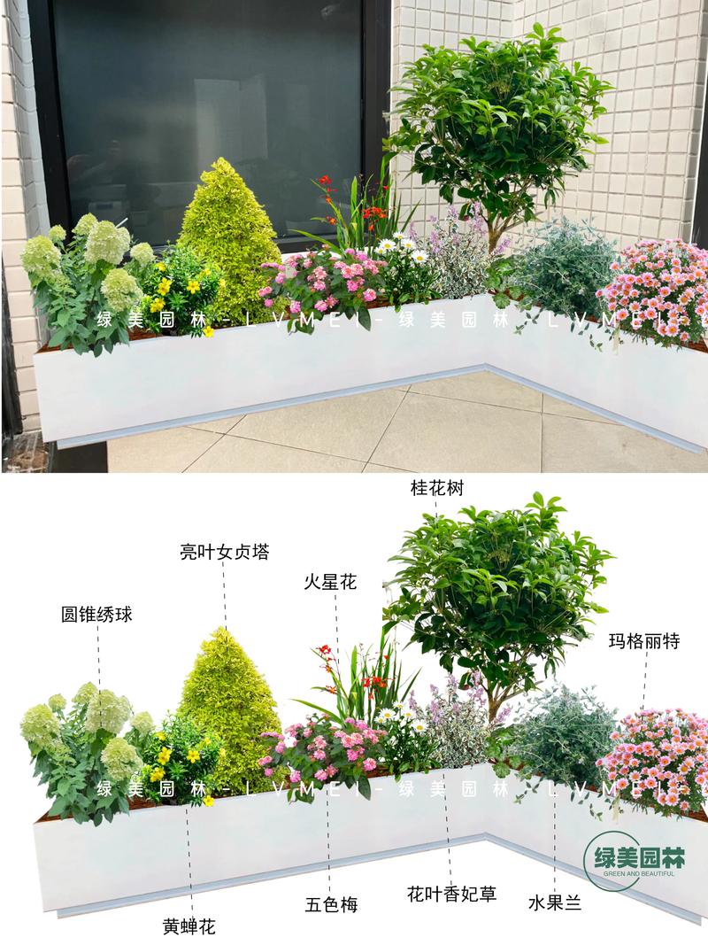 花箱内适合栽什么花?从选种到搭配的实用指南 一、选花原则:先看环境,再看颜值