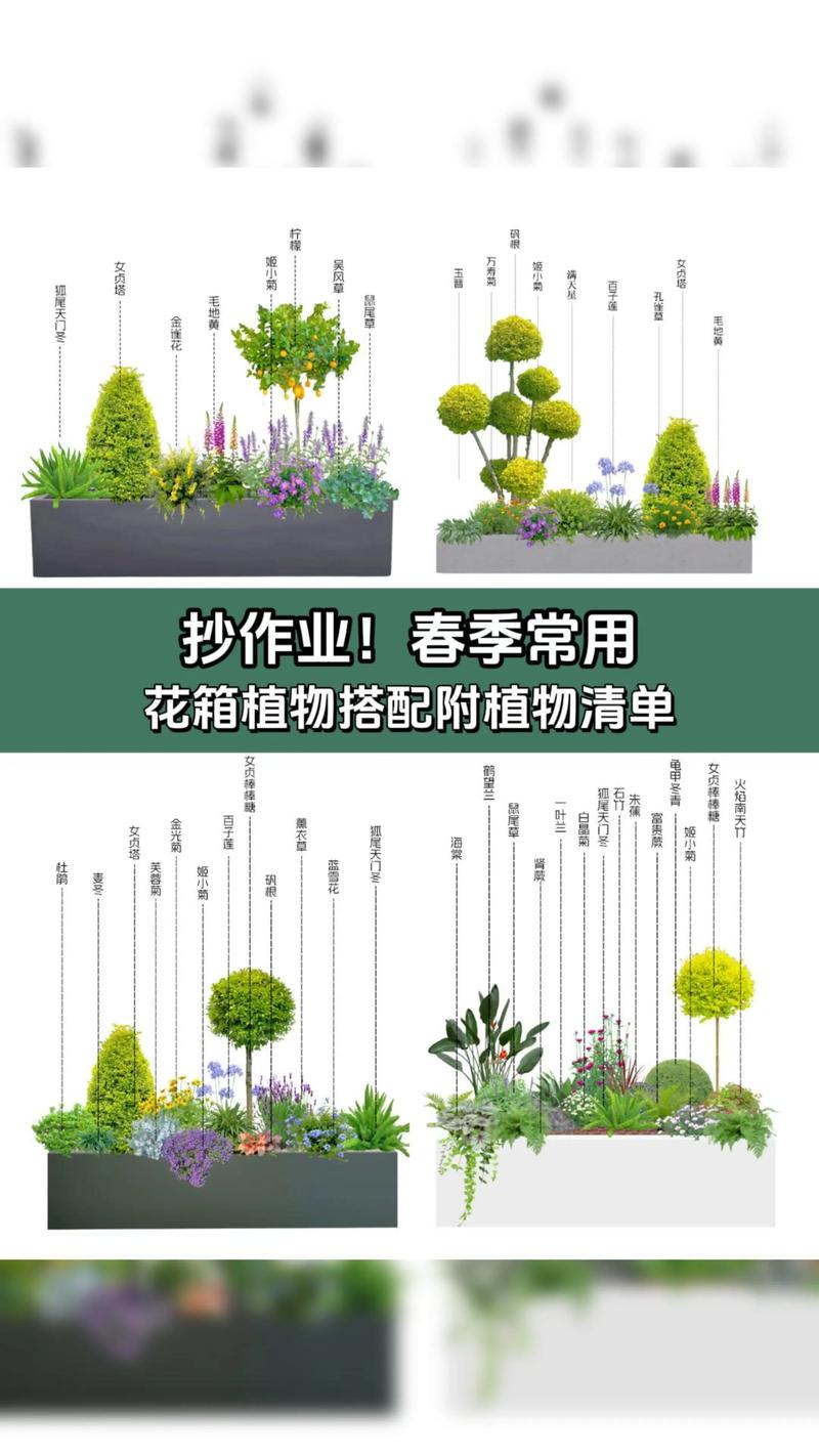 花箱内适合栽什么花?从选种到搭配的实用指南 四、搭配技巧:上中下三层与色彩呼应