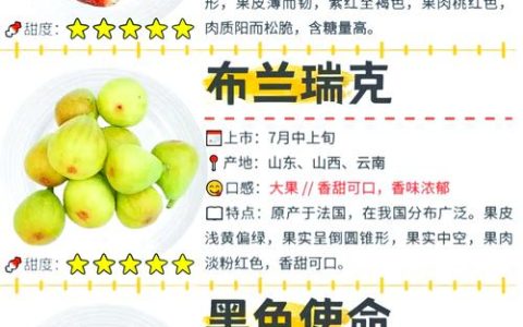 无花果什么时候成熟？不同品种成熟时间表与家庭种植促果指南