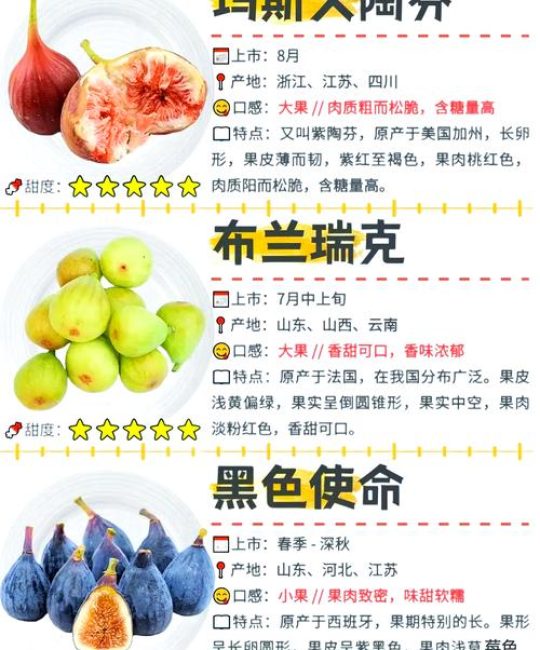 无花果什么时候成熟？不同品种成熟时间表与家庭种植促果指南