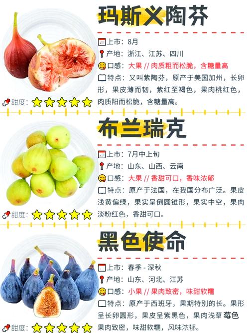 无花果什么时候成熟?不同品种成熟时间表与家庭种植促果指南 不同品种的成熟时间表