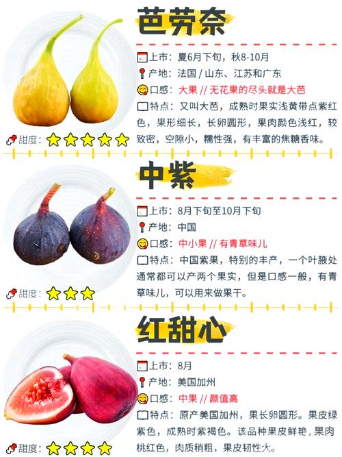 无花果什么时候成熟?不同品种成熟时间表与家庭种植促果指南 影响无花果成熟的关键因素