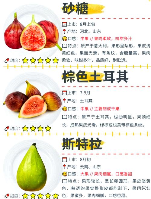 无花果什么时候成熟?不同品种成熟时间表与家庭种植促果指南 无花果不开花不结果常见原因