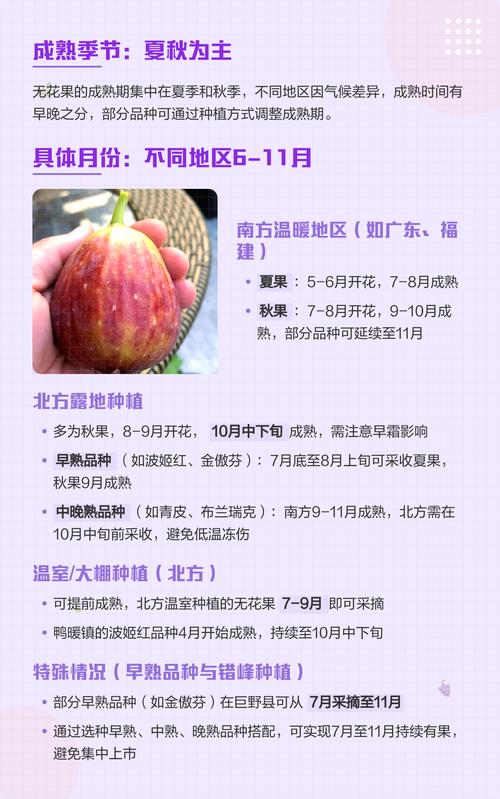 无花果什么时候成熟?不同品种成熟时间表与家庭种植促果指南 常见问题解答(FAQ)