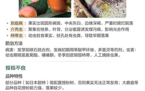 柿子落果什么原因?怎样防治?