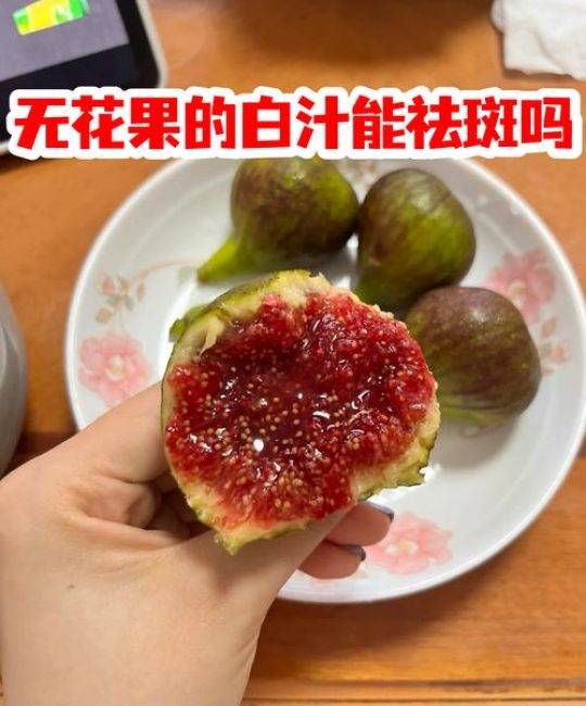 无花果白色液体的核心作用与种植管理指南