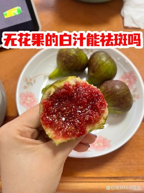 无花果白色液体的核心作用与种植管理指南