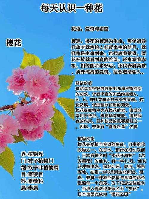 河南樱花花期与品种适应性指南:找到最佳赏樱目的地 六、结语