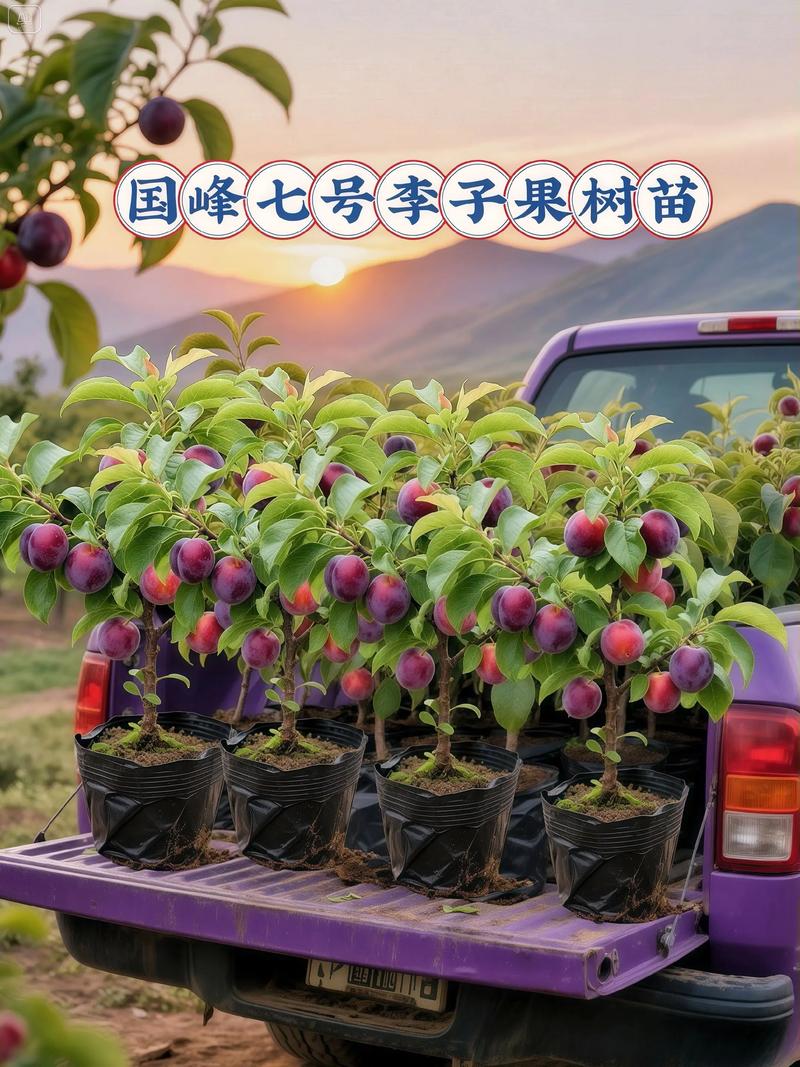 总结验证：选对位置后如何确保成活？