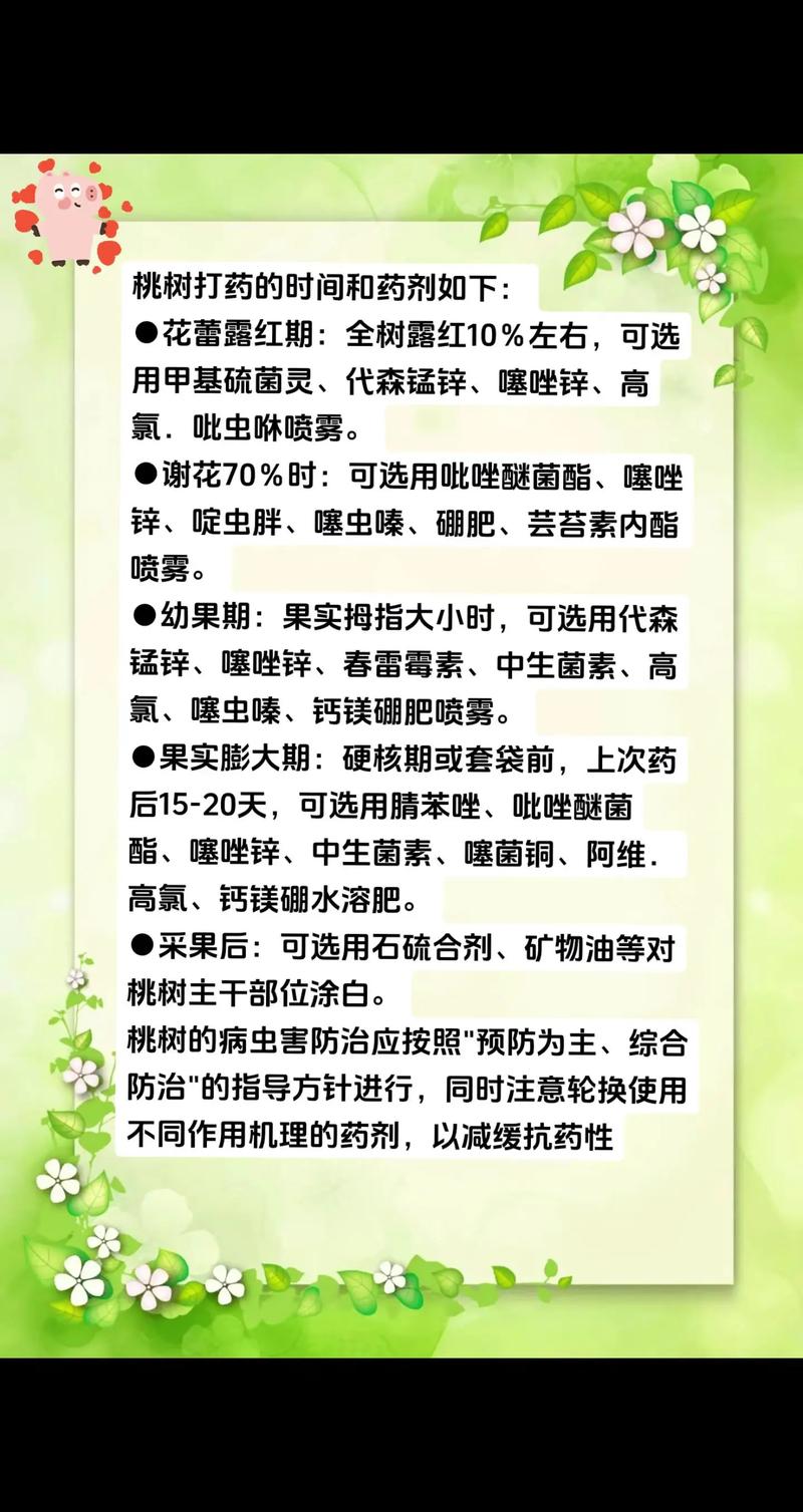 果树四季施肥时间表:按物候期精准施肥,产量提升30%以上 花期施肥以硼肥为核心,提高坐果率