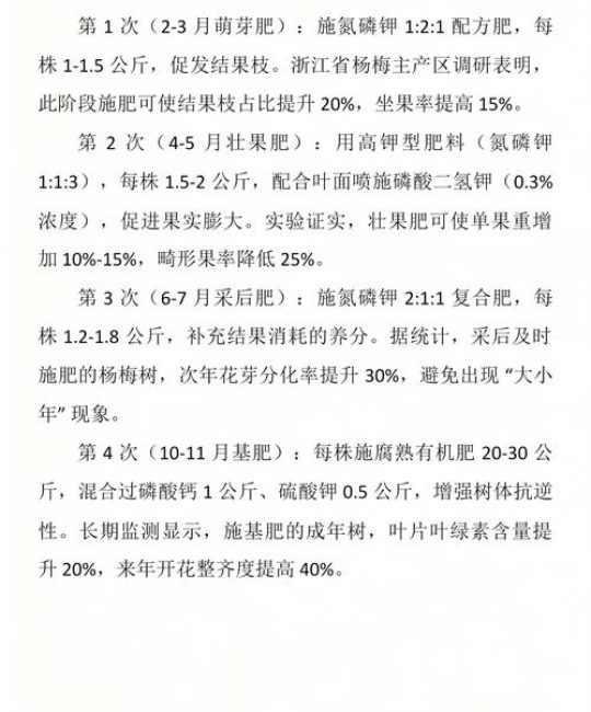杨梅树什么时候施肥最好？家庭种植全周期养护指南