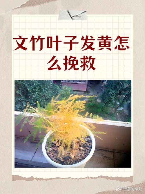 植物叶子发黄还能变绿吗?专家教你分步排查与挽救方案 处理办法(按原因分类)