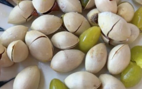 银杏白果是种子还是果实？乔木园艺专家详解植物学分类与种植养护
