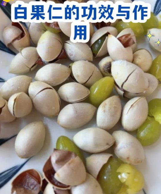 银杏白果是种子还是果实？乔木园艺专家详解植物学分类与种植养护