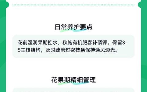 盆栽石榴树怎么养殖？从浇水到换盆的家庭养护指南