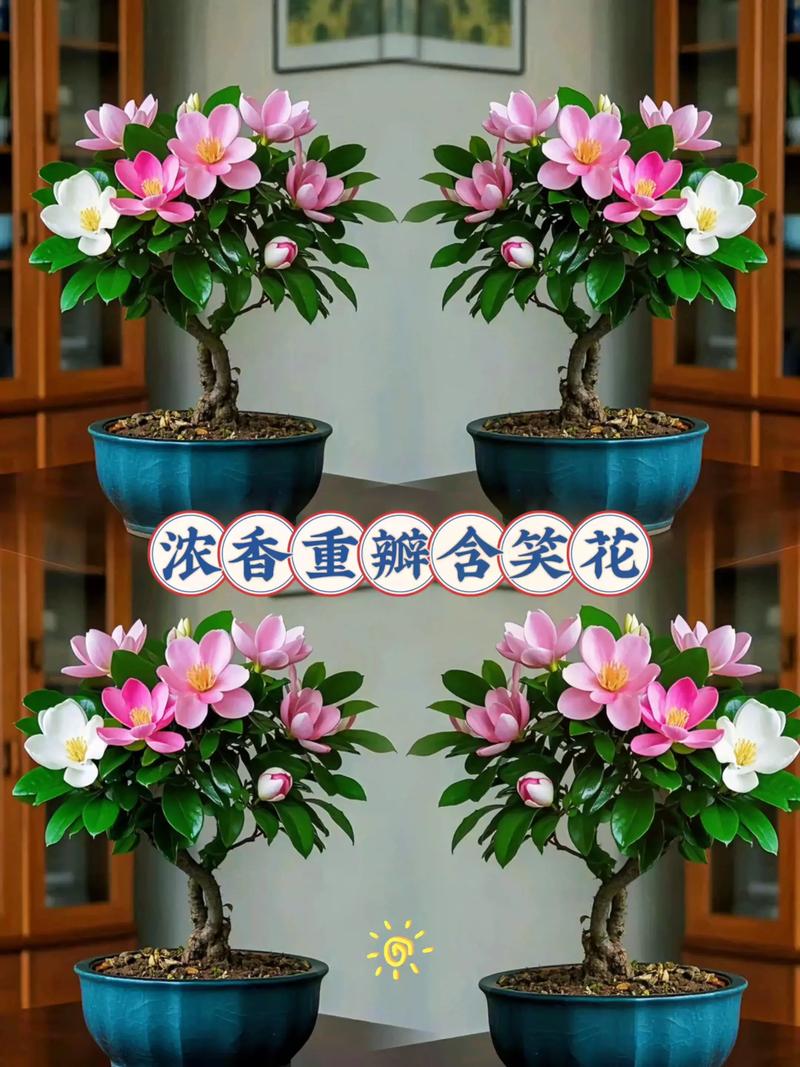 香蕉花多少钱一斤?2025年最新价格参考与影响因素全解析 产地因素:南方产区价格优势明显