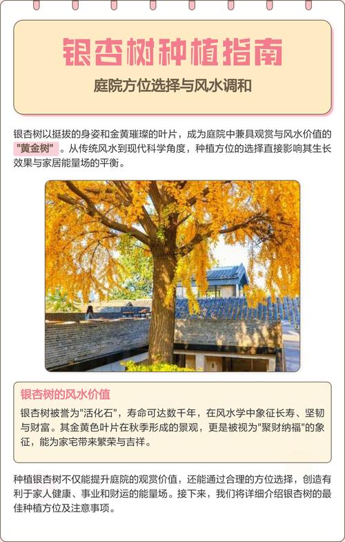 银杏树规格选型标准