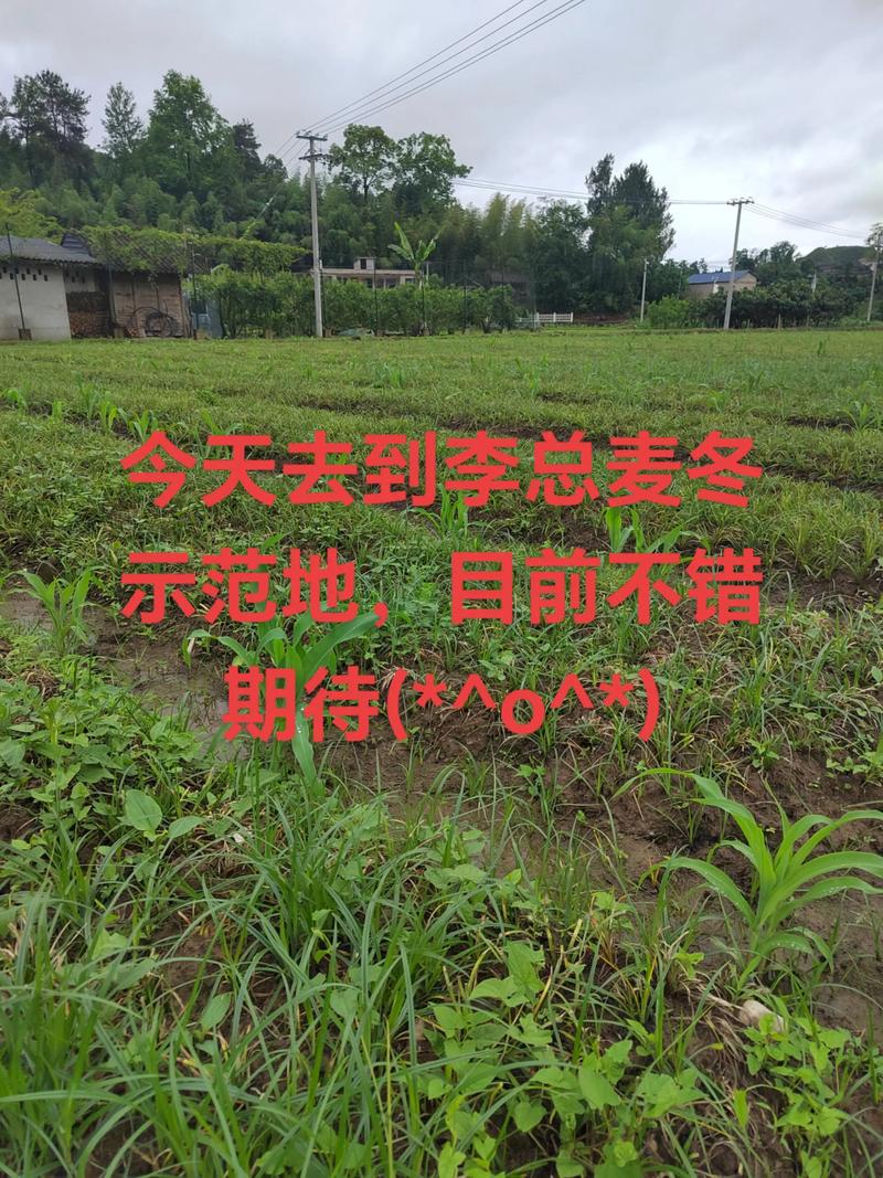 一、适宜时间