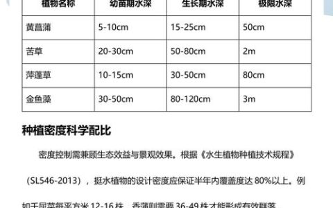 水生植物每平方米栽植密度指南：挺水、浮水、沉水植物具体用量速查