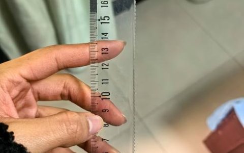 苗木规格解读：15公分树苗等于多少厘米及栽植密度标准
