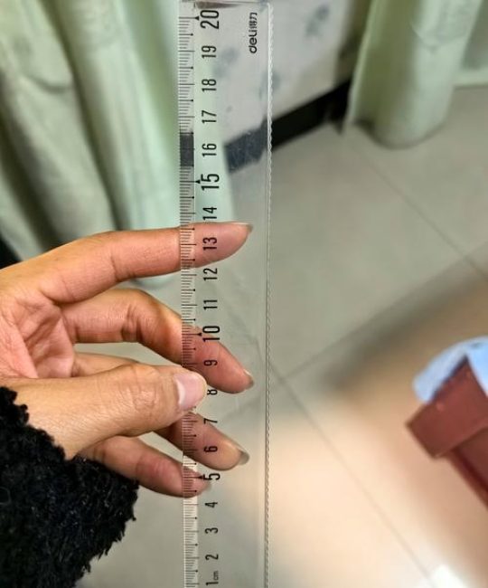 苗木规格解读：15公分树苗等于多少厘米及栽植密度标准