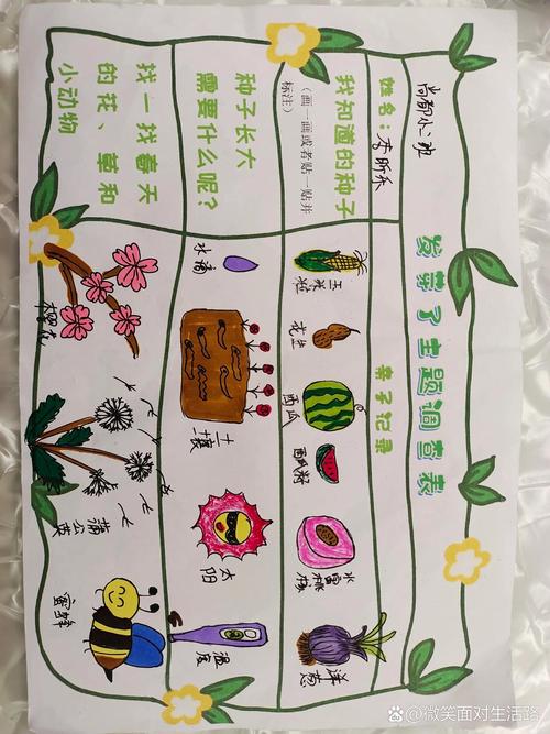 什么是秧苗?二年级园艺小课堂:一起填空认识植物宝宝 观察小技巧:用“五官”帮秧苗填空