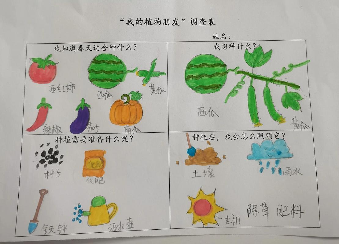 什么是秧苗?二年级园艺小课堂:一起填空认识植物宝宝 小贴士