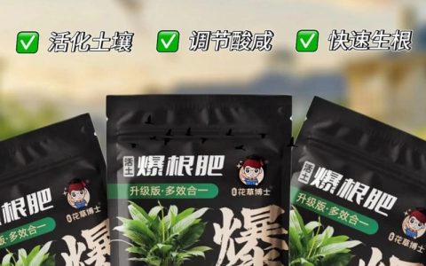 植物壮根用什么肥料？六个养护环节帮你养出强健根系